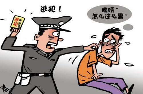 凤岗镇彩礼纠纷律师，解析法律疑难，维护婚姻公平