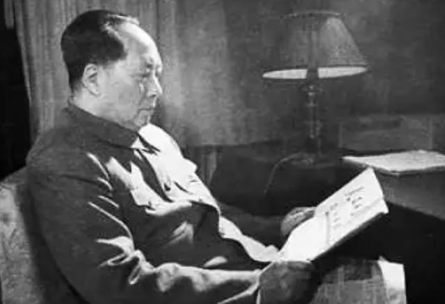 律师审核合同承担的责任，守护公正与安全的法律卫士