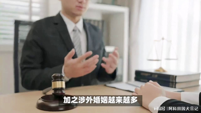 嵩明婚姻家事律师价格，解析法律服务成本与选择考量