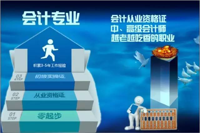 深度解析，如何选择最佳专业成为优秀律师的必经之路