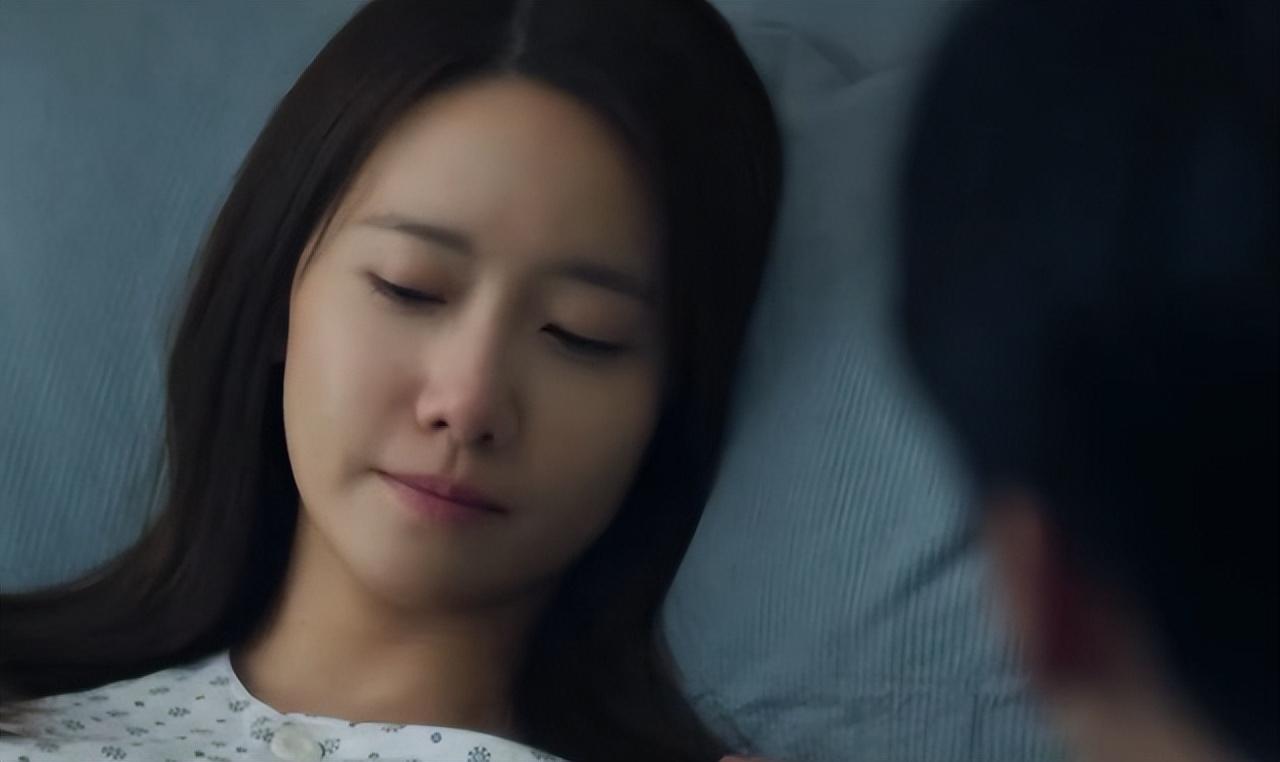 韩剧监狱中的花开，正义与希望之光在律师的奋斗中绽放
