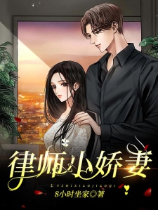 小姨夫的专业，律师之路探索