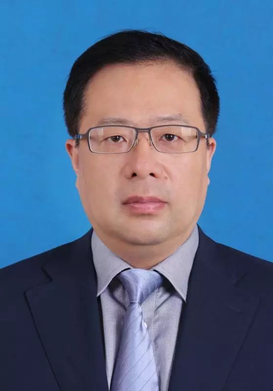 桐城之光，张雪松律师的法治之路探索