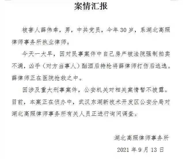 薛律师，正义之光在法治之路闪耀——武汉枪击案中的法律捍卫者